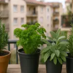 Piante aromatiche in balcone tutto l’anno: Le varietà più resistenti e come curarle facilmente