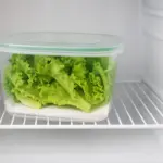 Come evitare che l’insalata diventi molle in frigo? Consigli pratici dal primo giorno