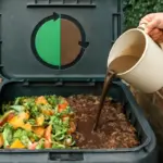 Rapporto verde-secco nel compost: l’equilibrio che evita liquami e blocchi