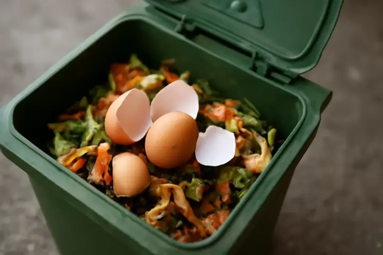 Gusci d’uovo nell’umido o nel compost: dove finiscono davvero